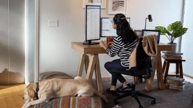 teams-person-sitting-at-a-desk-in-their-home-office-using-two-large-desktop-monitors-and-a-dog-sleeps-on-the-floor-next-to-the-desk-interstellar-business-solutions-limited-ibsl